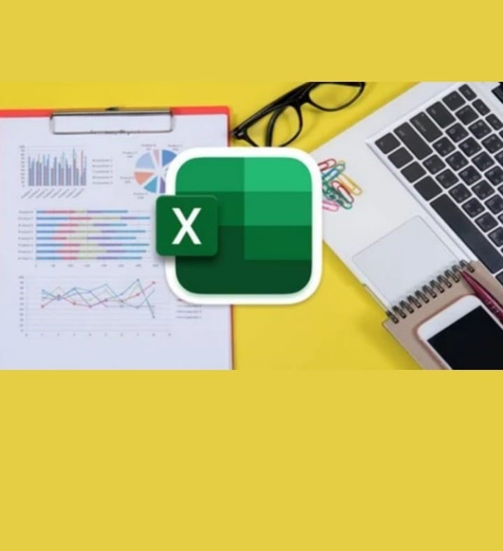 Excel data management system project